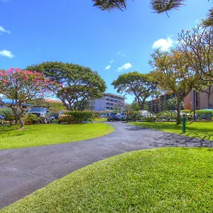 Apartment Maui Vista 3101